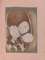 Plant Branch with Leaves and Flowers